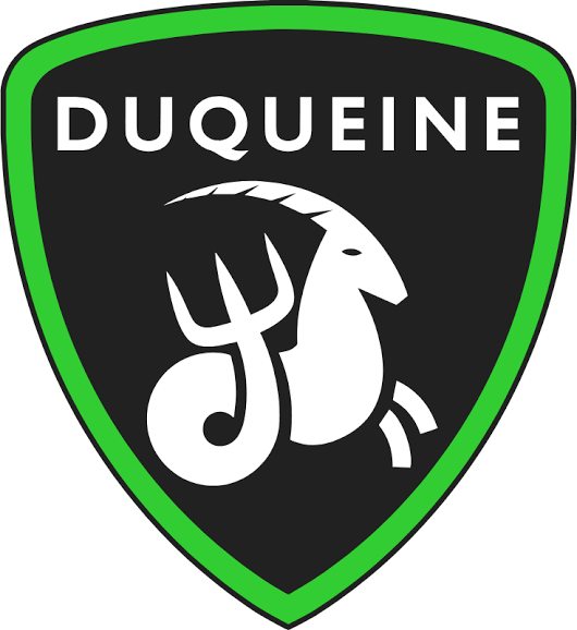 logo duqueine